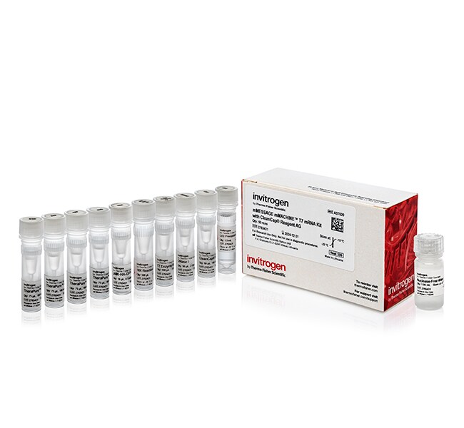 mMESSAGE mMACHINE&trade; T7 mRNA Kit with CleanCap&trade; Reagent AG